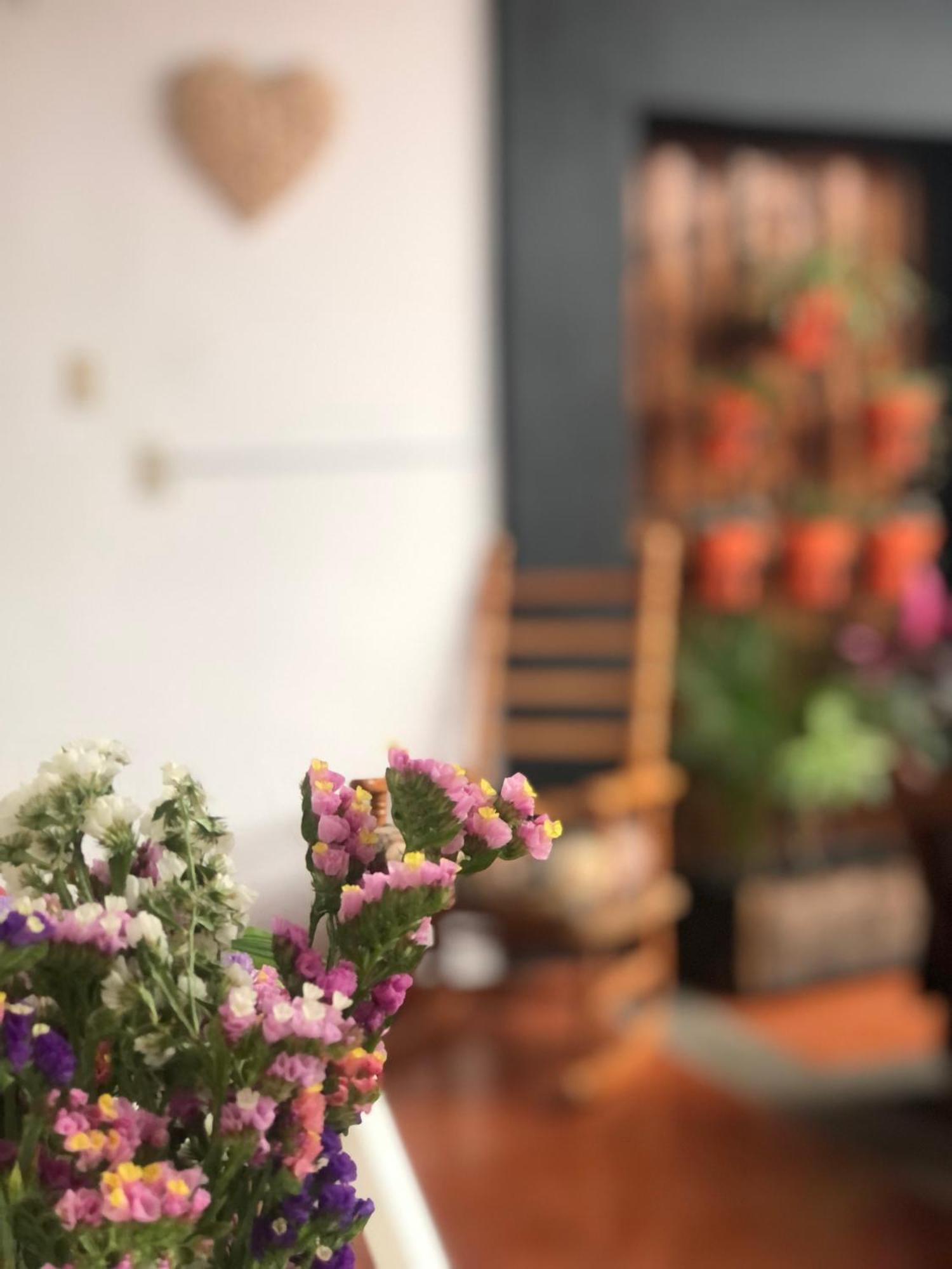 Hostal Casa Gaia San Cristóbal de Las Casas Eksteriør bilde
