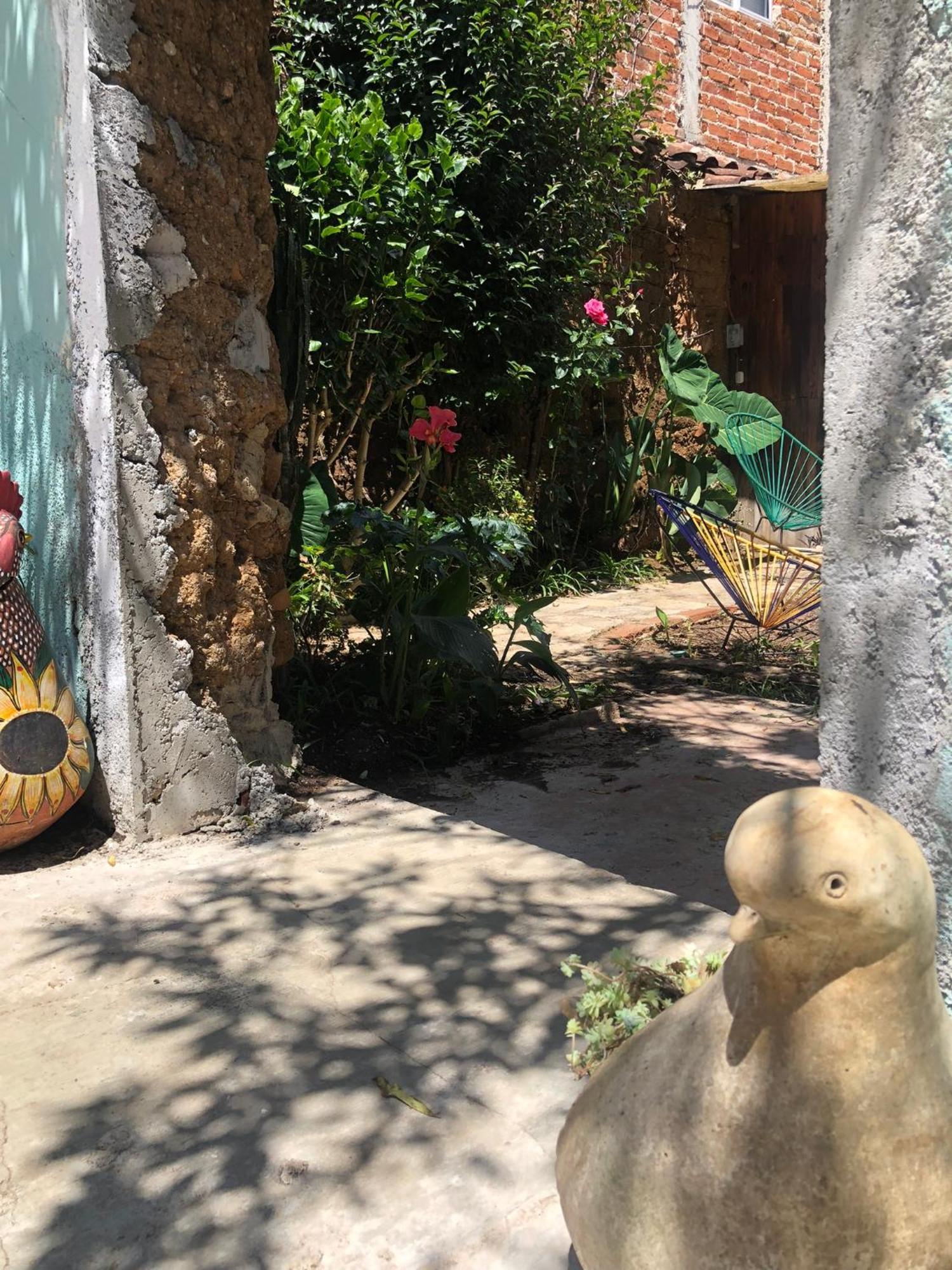 Hostal Casa Gaia San Cristóbal de Las Casas Eksteriør bilde